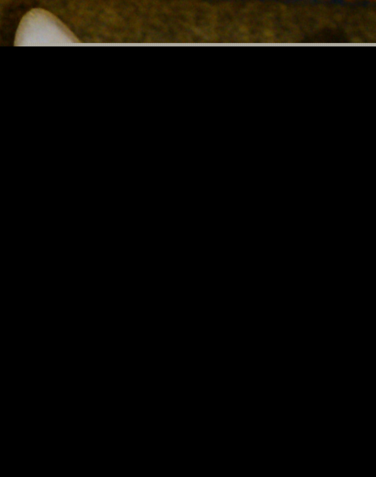 Гость