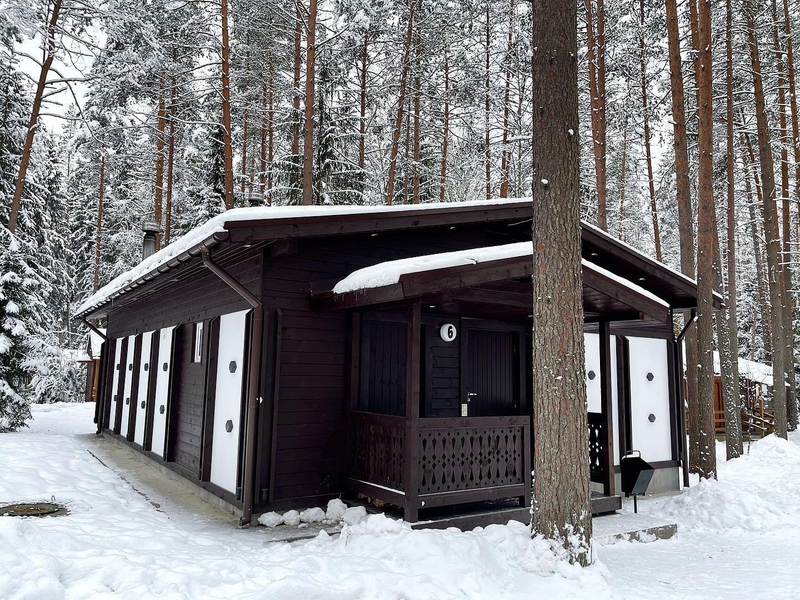 Аврора, Ленинградская область: фото 5