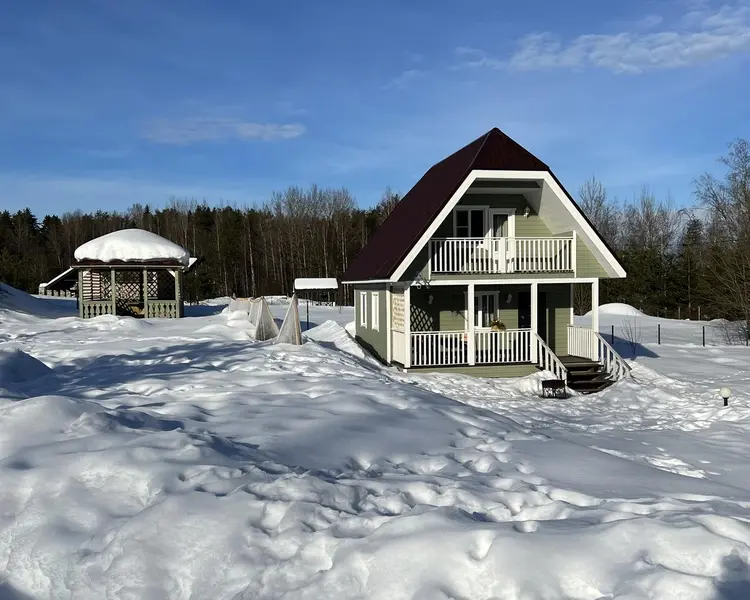 Dream House, Ленинградская область: фото 4