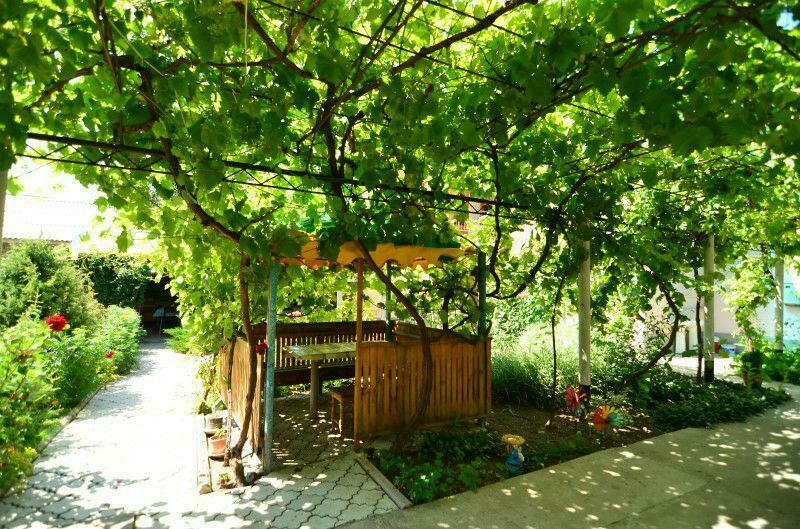 Беседка | Ласточка, Крым