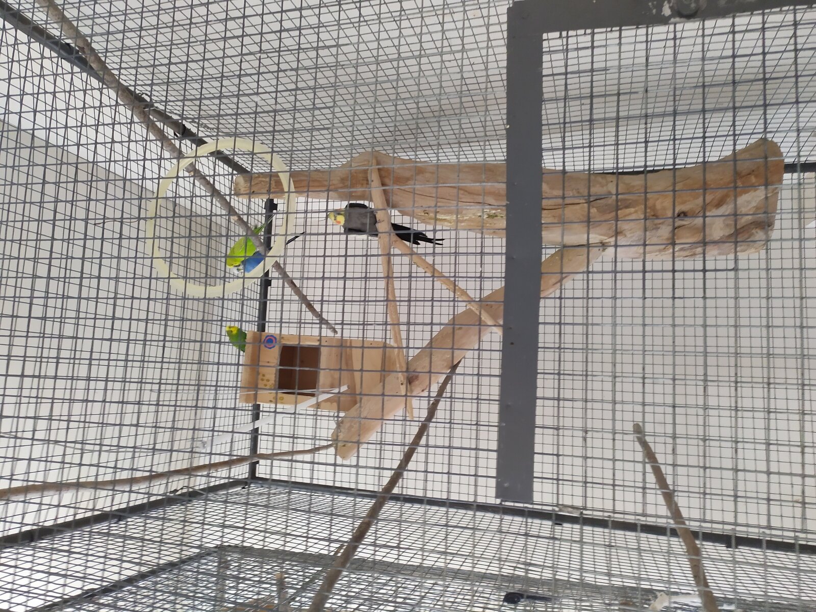 Фото 1 из отзыва о санатории Радуга