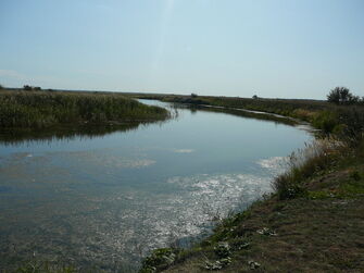 Среднее русло Саратовки