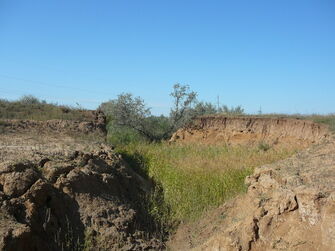 Пересохшая часть Саратовки в верховье