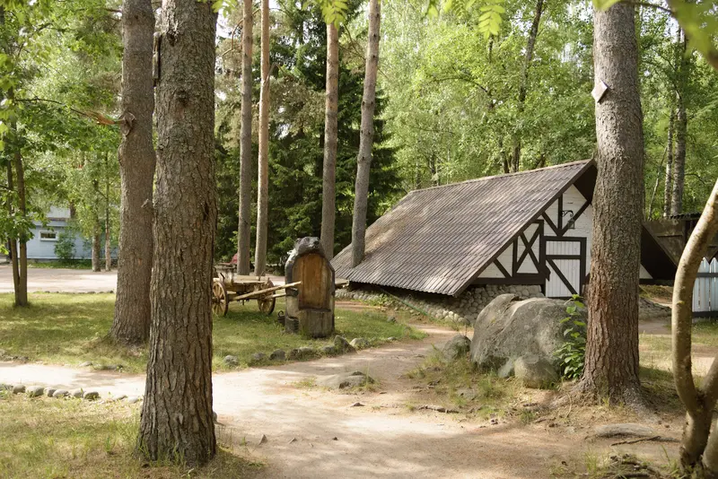 Добрый Лось, Ленинградская область: фото 3