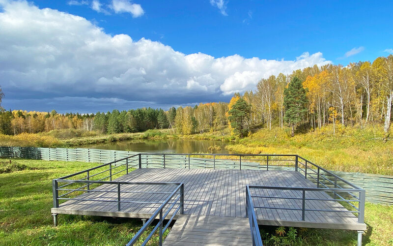 Территория, осень | Бобровое, Томская область