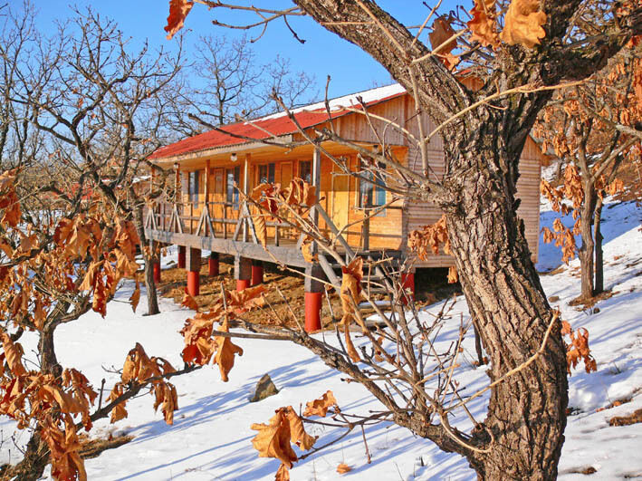 База отдыха «Новая волна» | Новая волна, Приморский край