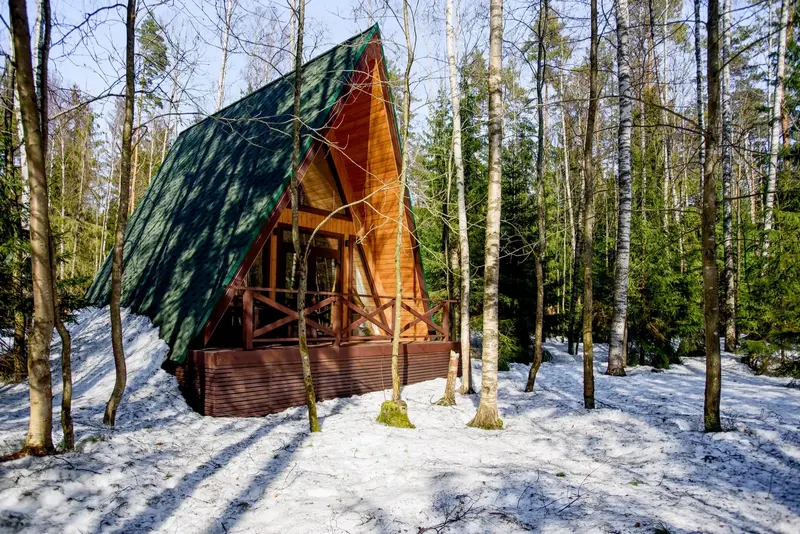 Пасторское озеро, Ленинградская область: фото 3