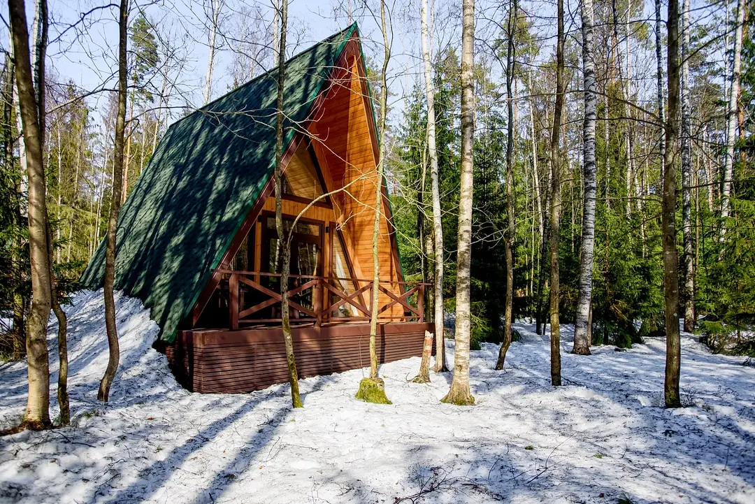 Пасторское озеро, Ленинградская область: фото 3