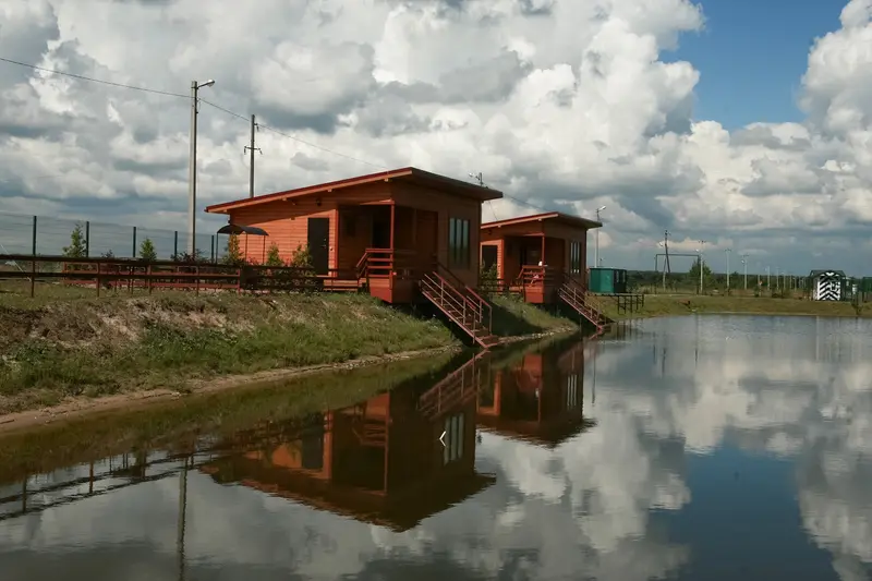 Петрушинский Хутор, Ленинградская область: фото 5