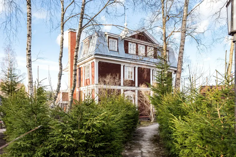 Тихая Гавань, Ленинградская область: фото 2