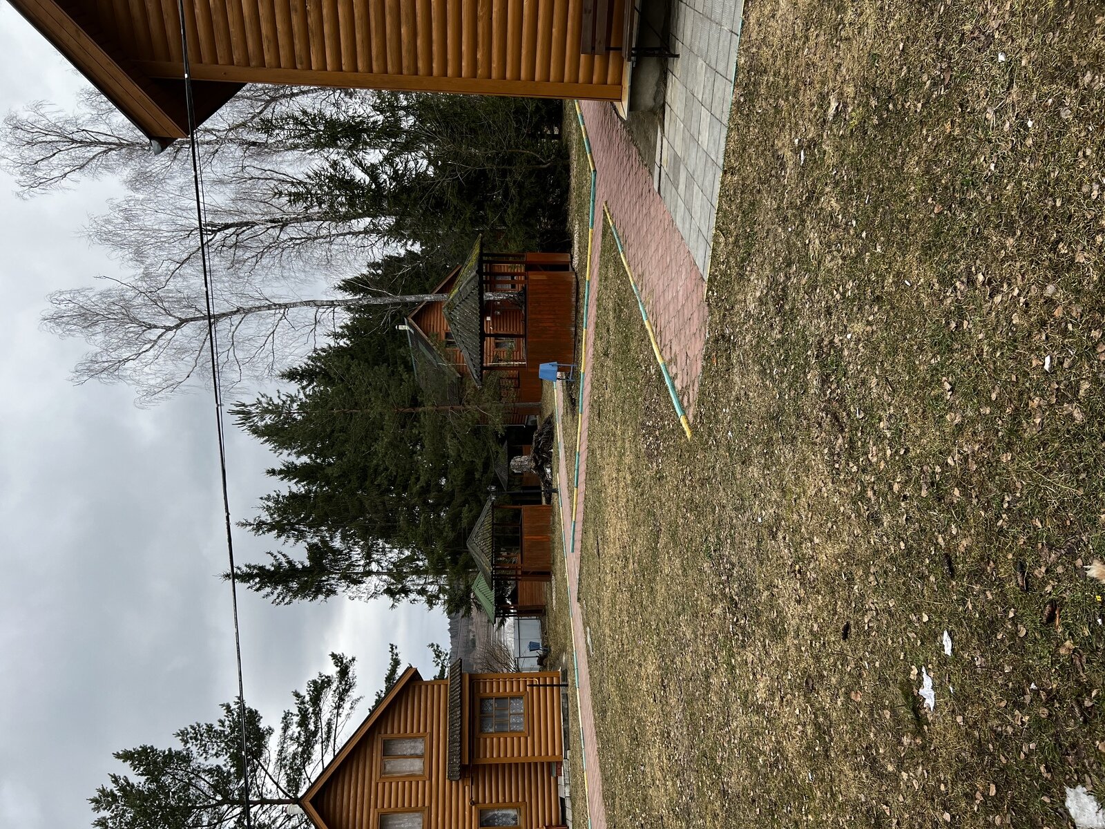 Фото 8 из отзыва о базе отдыха Березовая роща