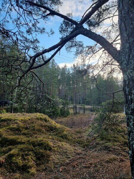 Вальхоф, Калининградская область: фото 5