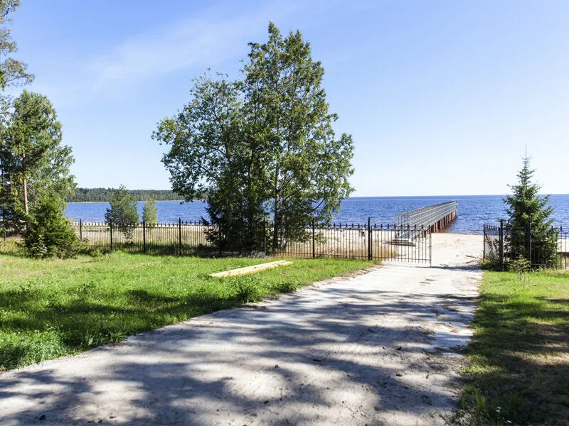 Чайка, Ленинградская область: фото 4