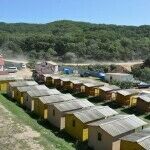 Оазис у моря, Приморский край: фото 3