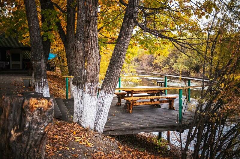 Таежный Берег, Хабаровский край: фото 4