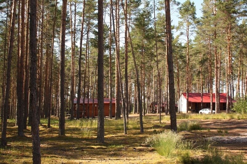 Домик на озере, Псковская область: фото 2