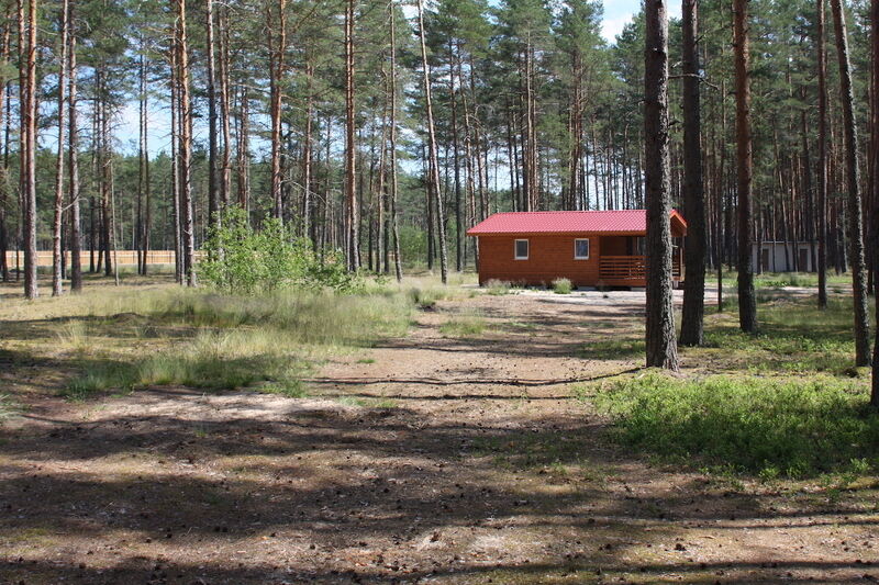 Домик на озере, Псковская область: фото 4