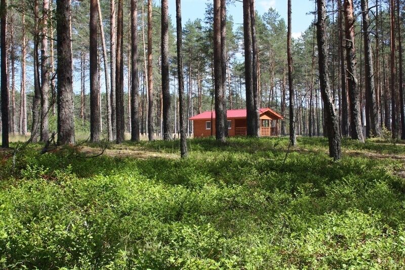 Домик на озере, Псковская область: фото 5