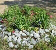 Оазис у моря, Приморский край: фото 4