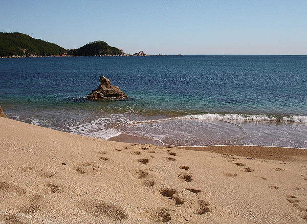 База отдыха «Бухта Спокойная» | Бухта Спокойная, Приморский край