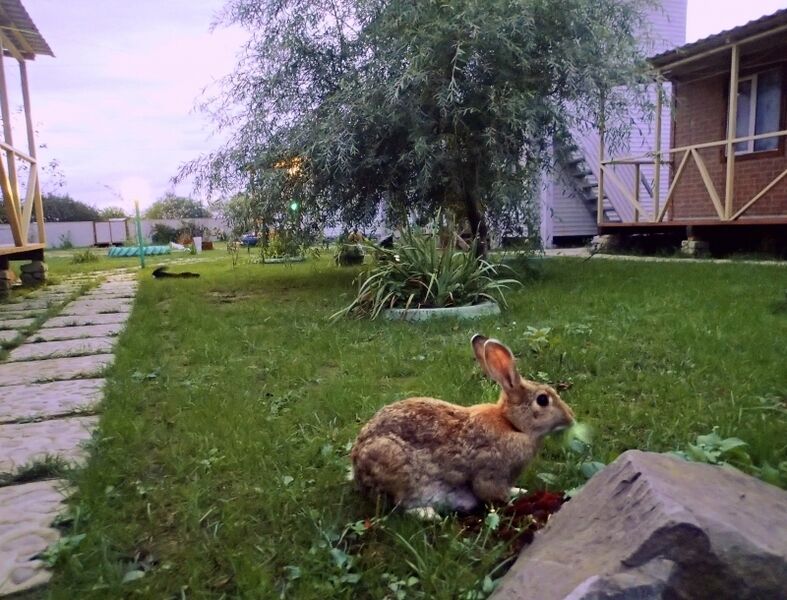 База отдыха «Причал» | Причал, Приморский край