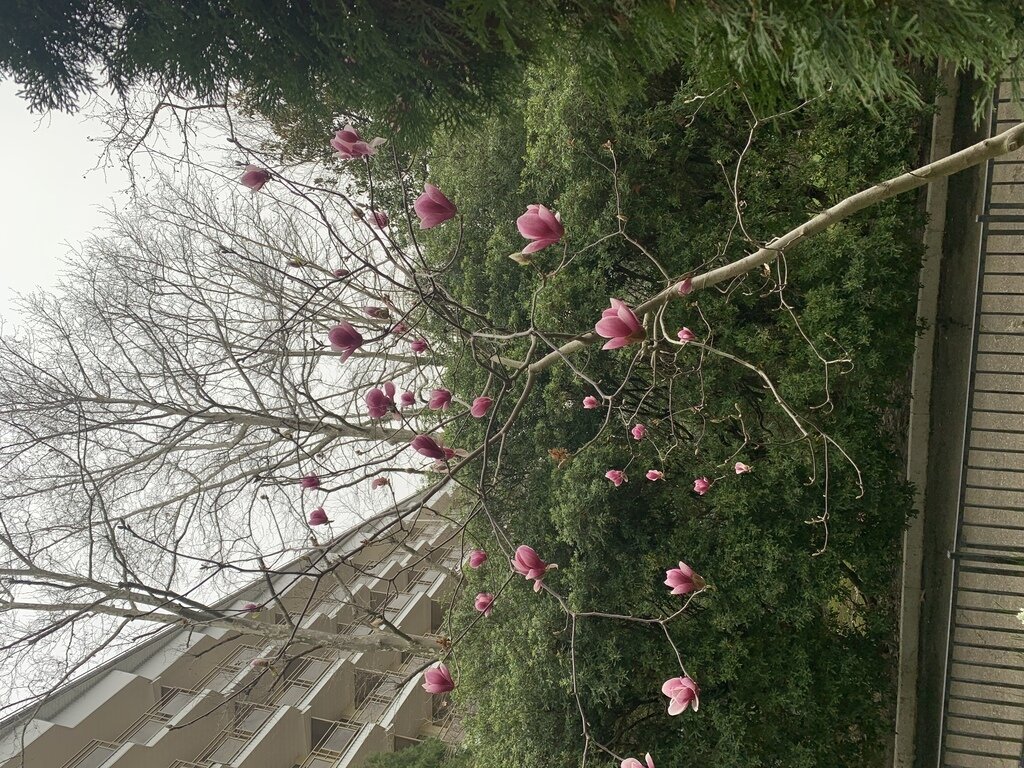 Фото из отзыва от 18.03.2023