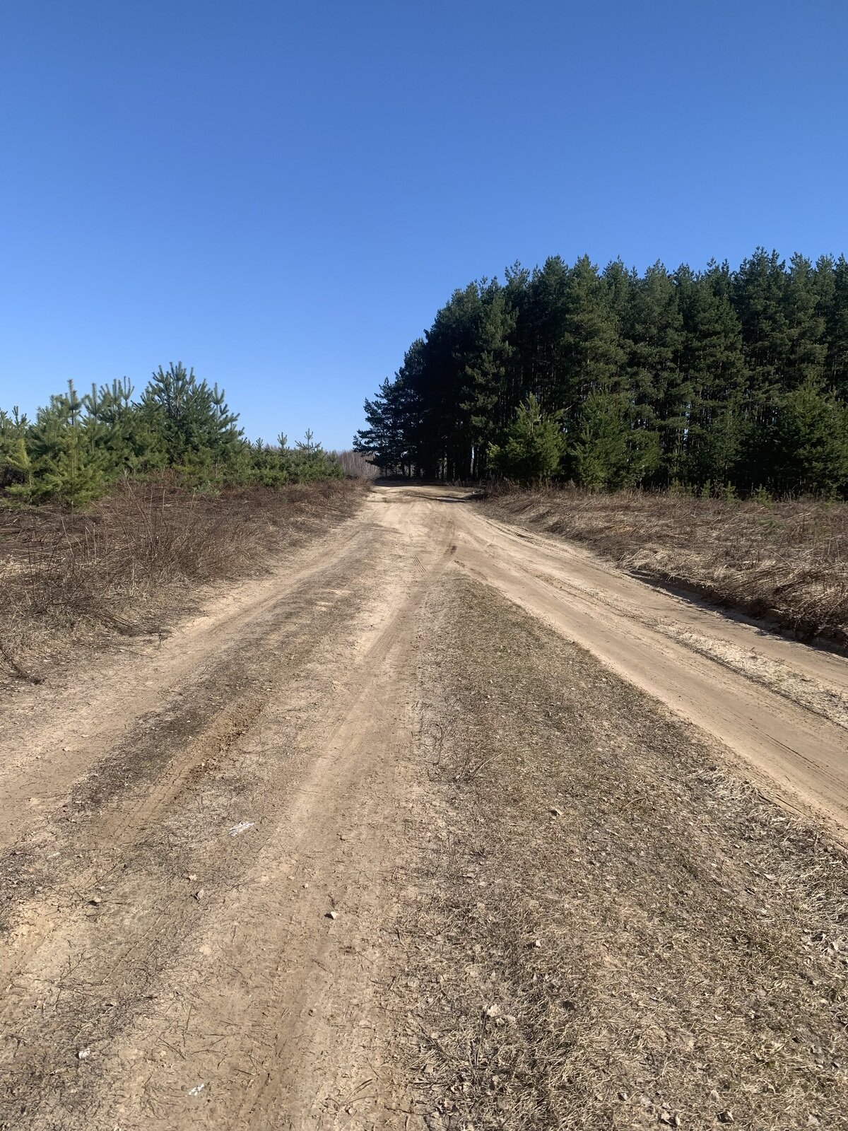 Фото 9 из отзыва о гостевом доме Арк-Путьково