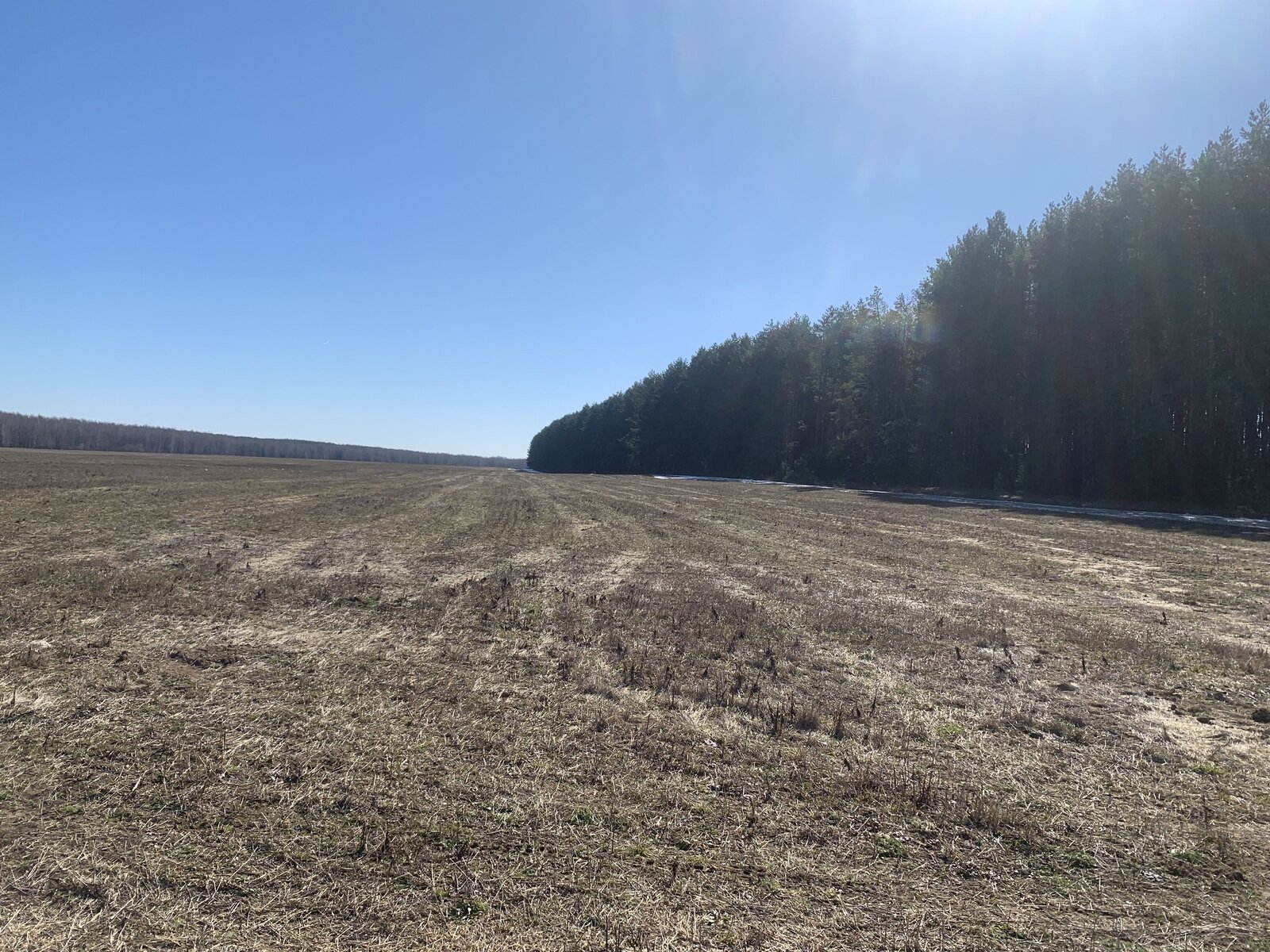 Фото 12 из отзыва о гостевом доме Арк-Путьково