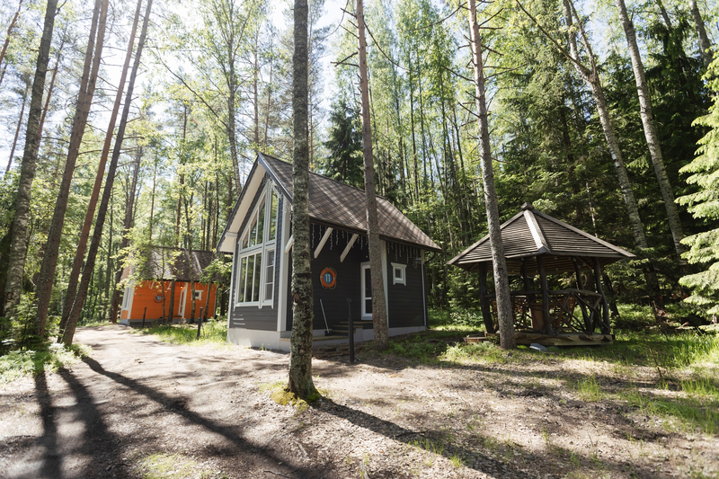 Море, Ленинградская область: фото 2