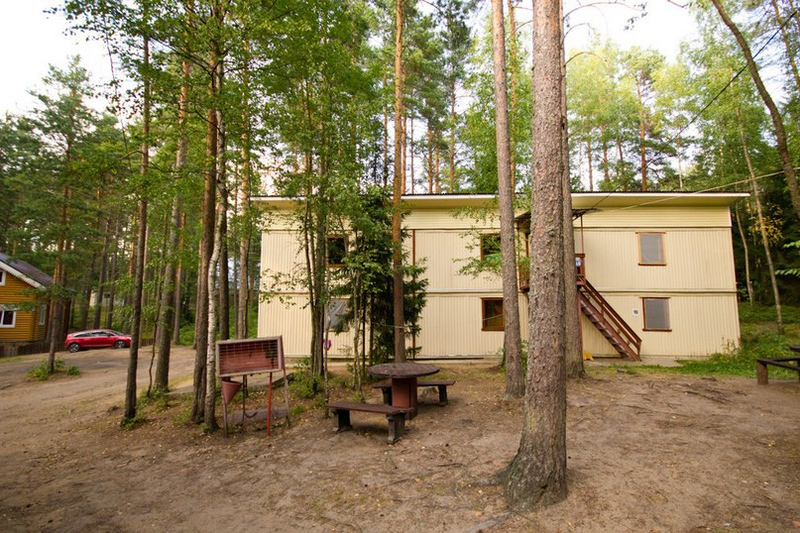 Журавушка, Ленинградская область: фото 5