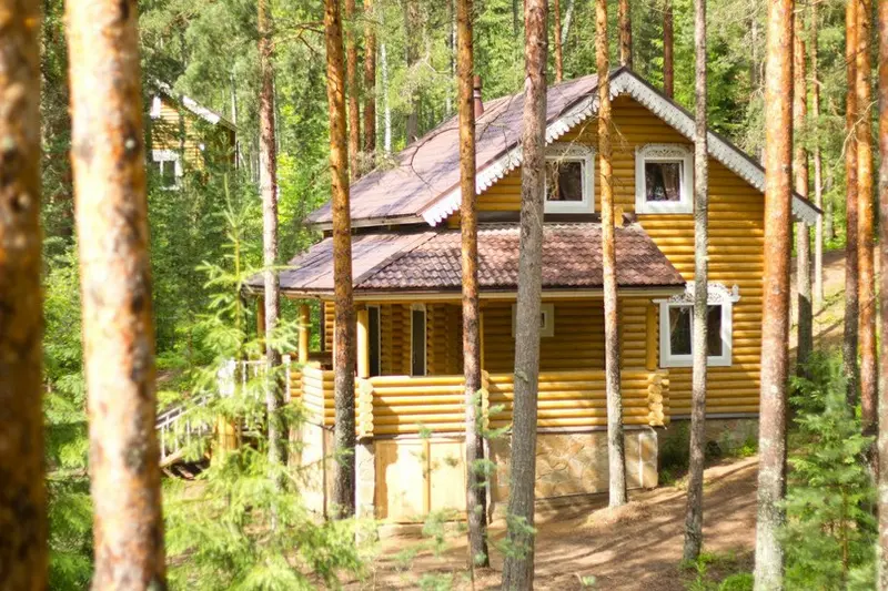 Журавушка, Ленинградская область: фото 4