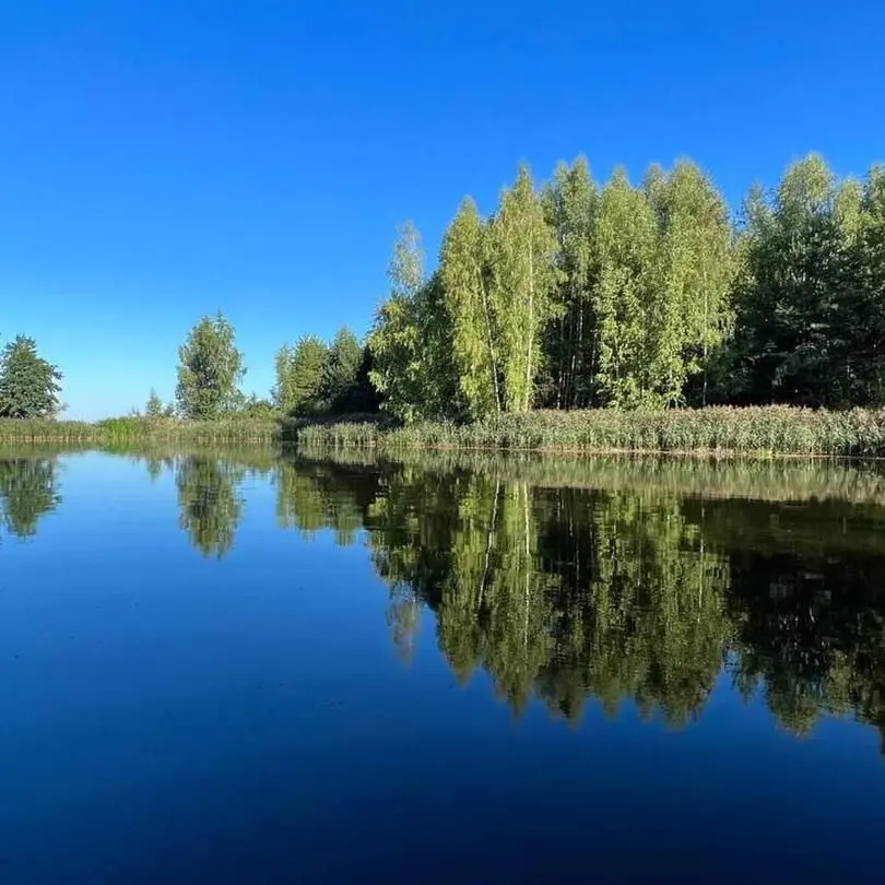 Берег Грифона, Нижегородская область: фото 4