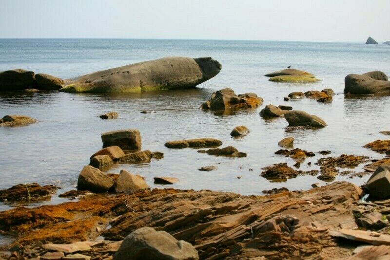 База отдыха «Жемчужина» | Жемчужина, Приморский край