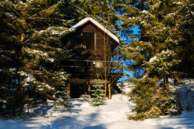 Дом среди деревьев, Опушка. Дом среди деревьев, Пермь