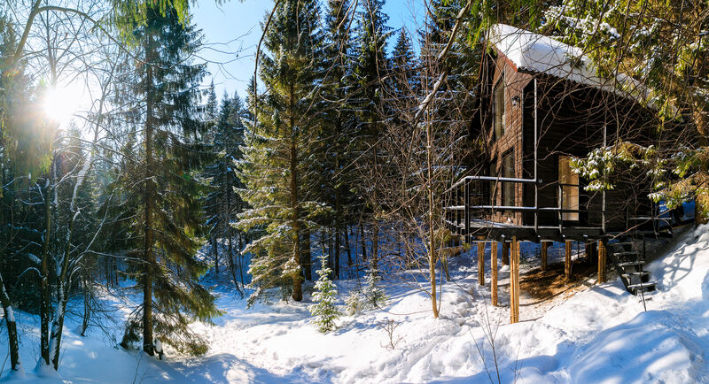 Опушка. Дом среди деревьев, Пермский край: фото 4