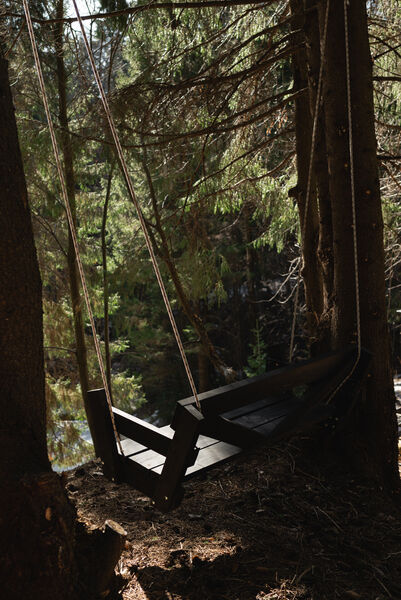 Опушка. Дом среди деревьев, Пермский край: фото 3