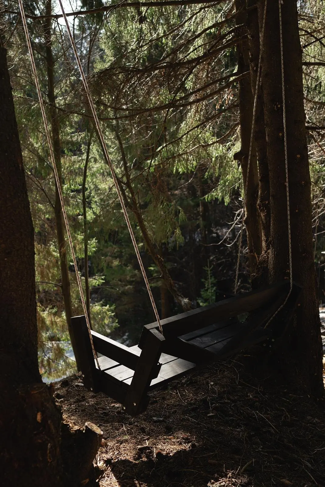 Опушка. Дом среди деревьев, Пермский край: фото 3
