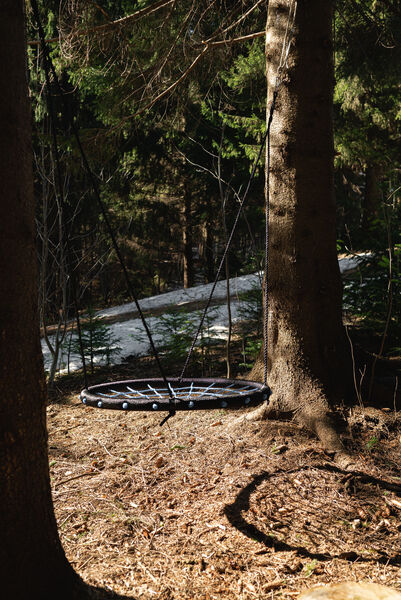 Опушка. Дом среди деревьев, Пермский край: фото 2