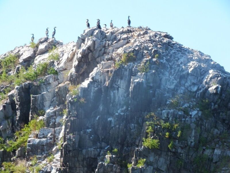 База отдыха "АнКар-Паллада" | АнКар-Паллада, Приморский край