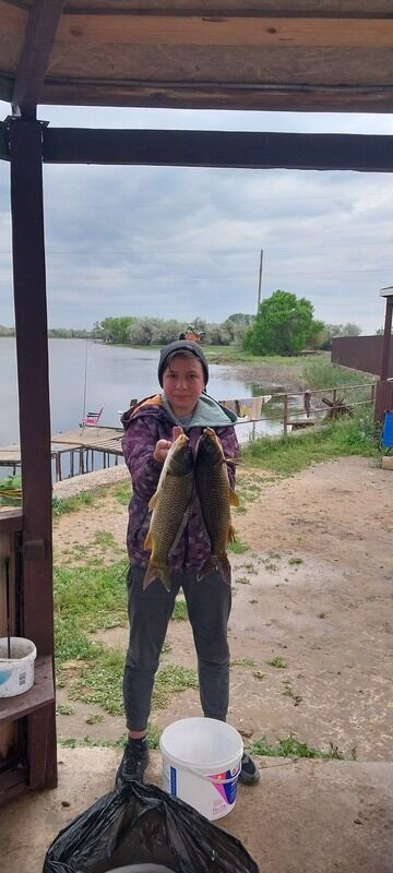 Фото 1 из отзыва о гостевом доме Poseidon Travels