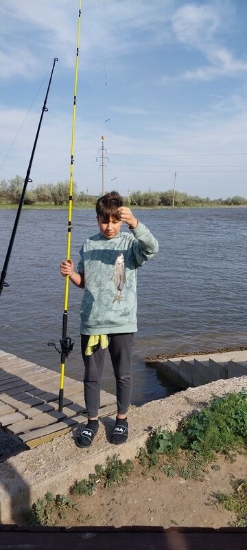 Фото 2 из отзыва о гостевом доме Poseidon Travels