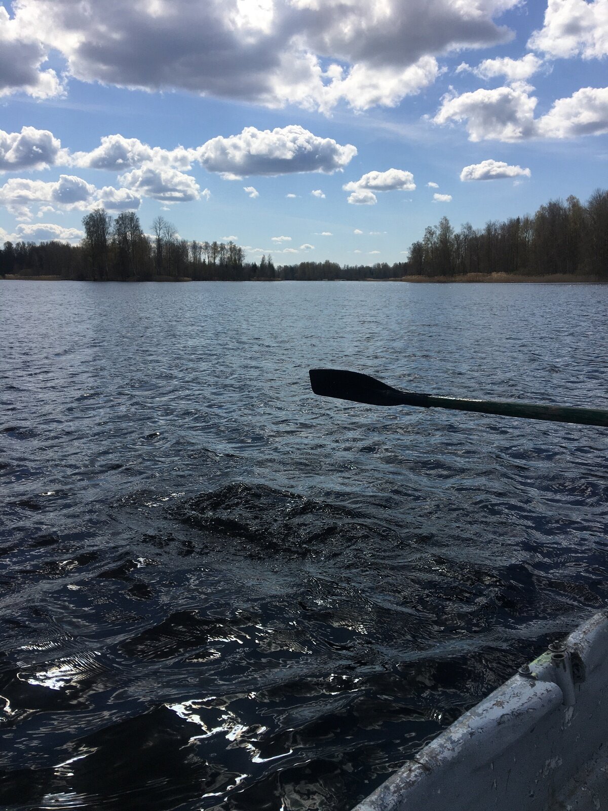 Фото 5 из отзыва о гостевом доме Беличье