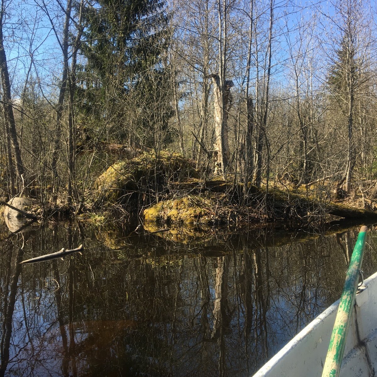 Фото 6 из отзыва о гостевом доме Беличье