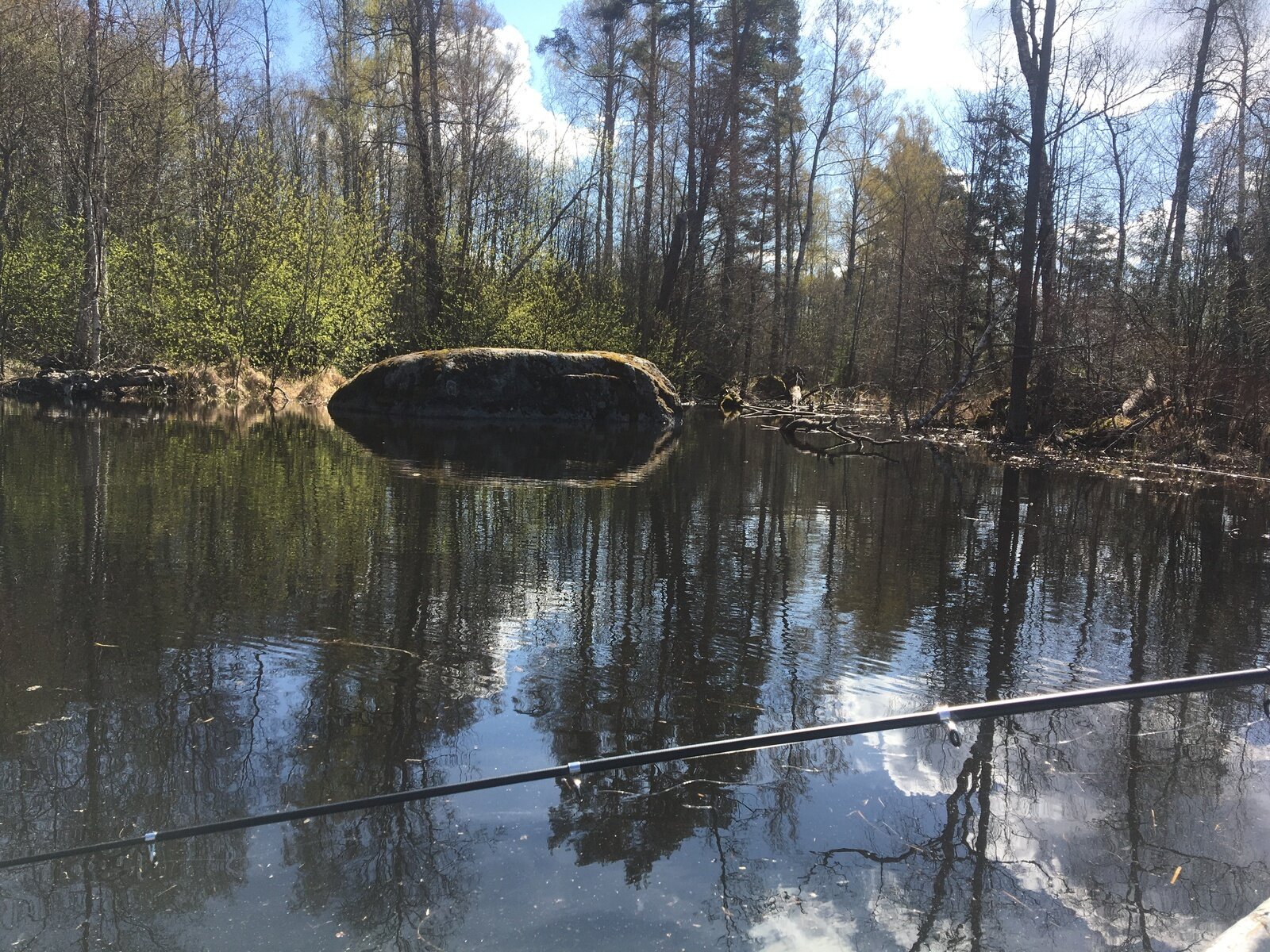 Фото 7 из отзыва о гостевом доме Беличье