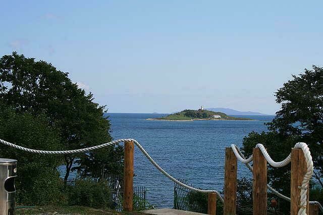 База отдыха «Белая дача» | Белая дача, Приморский край