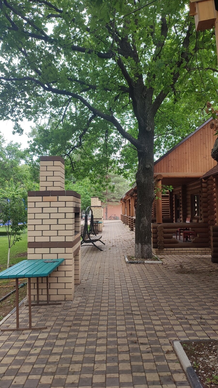 Фото 12 из отзыва о базе отдыха Дубовая Роща