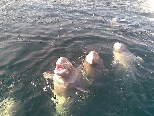 База отдыха «Бухта Средняя» | Бухта Средняя, Приморский край