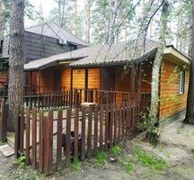 Номер №1 (2-4 Человека), Турбаза Алмаз, село Новая Усмань