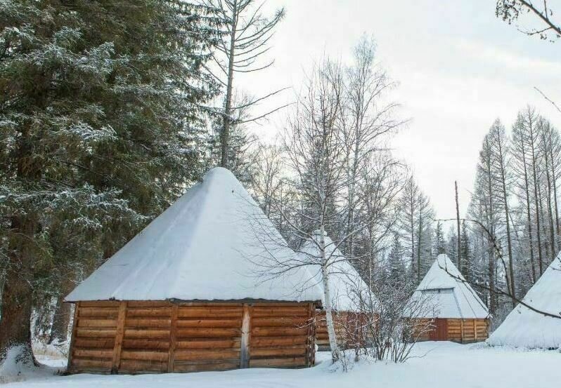 Тюнгур , Горный Алтай (Республика Алтай): фото 3