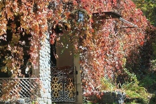 База отдыха «Дельфин-Витязь» | Дельфин-Витязь, Приморский край